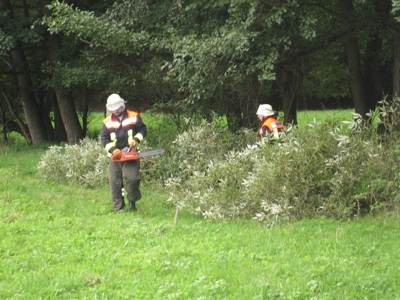 Wir machen Holz